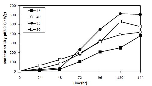Changes in protease activity(pH 6.0) of koji preparedwith A.oryzae CJCM-4 according to initial moisture content of cooked rice during six days at 30℃.