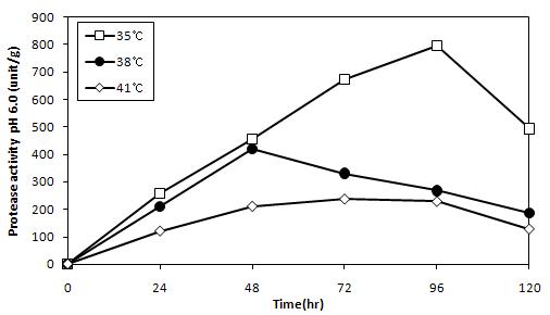 Changes in protease activity(pH 6.0) of koji prepared with A.oryzae CJCM-4 according to the cotrol of initialiy increasing temperature during six days at 30℃.