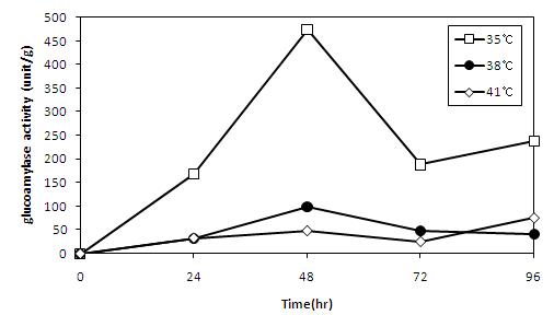 Changes in glucoamylase activity of koji prepared with A.oryzae CJCM-4 according to the cotrol of initialiy increasing temperature during six days at 30℃.