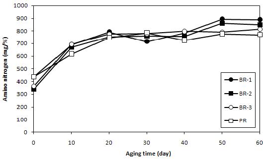 Changes in amino nitrogen during the aging of rice doenjang