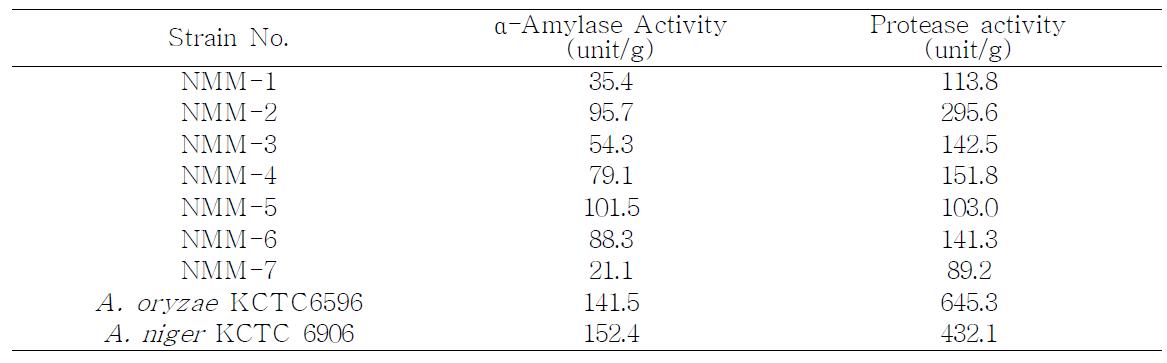 Activities of α-amylase and protease produced by various mold strains for 3 days at 28℃