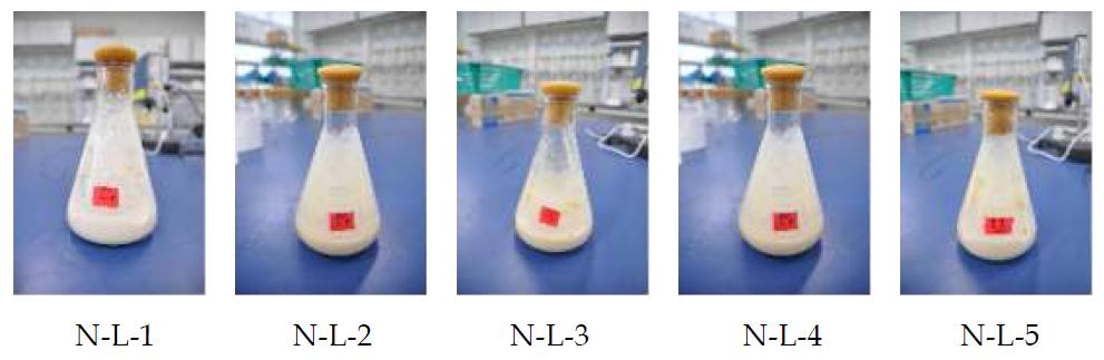 Photography of Meju cultured in different ratio of rice powder and soybean powder with Aspergillus oryzae KCTC6596 for five days at 28℃