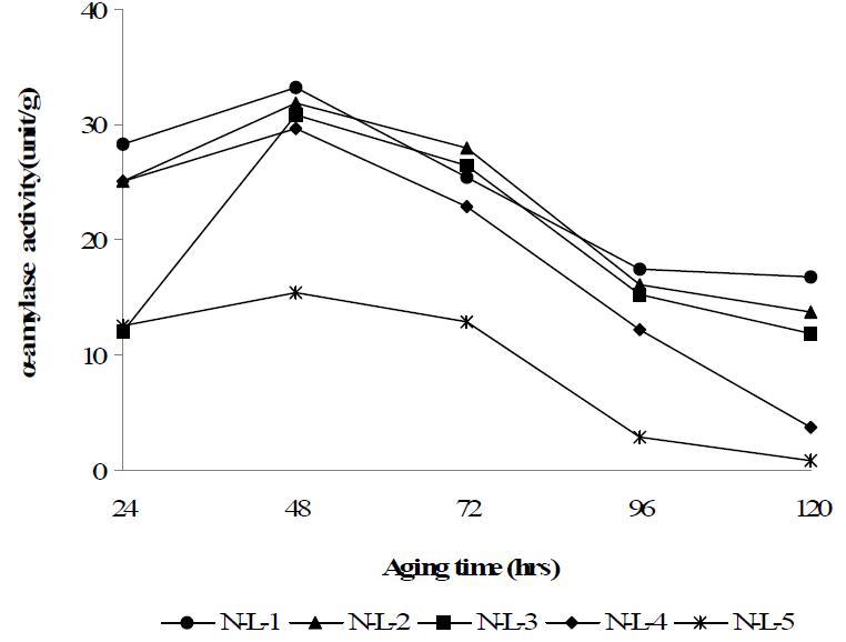Changes of α-amylase activity in Meju cultured with different ratio of rice and soybean according to incubation period at 28℃