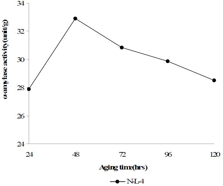 Changes of α-amylase activity in Meju culturedin rice and soybean medium NL-4 according to incubation period at 28℃.