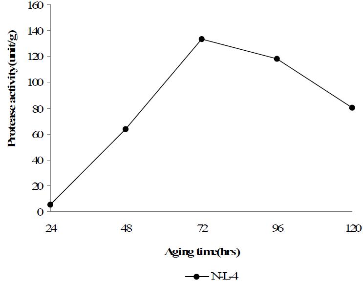 Changes of protease activity in Meju culturedin rice and soybean medium NL-4 according to incubation period at 28℃.