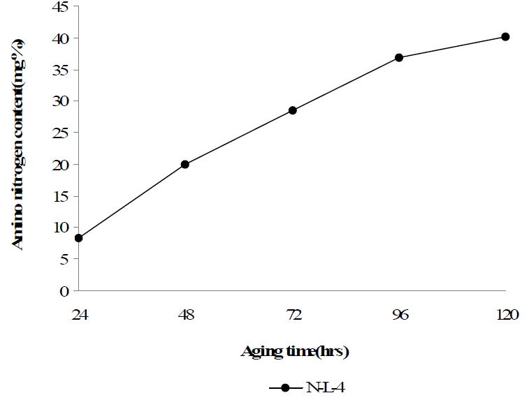 Changes of amino nitrogen content in Mejucultured in rice and soybean medium NL-4 according to incubation period at 28℃