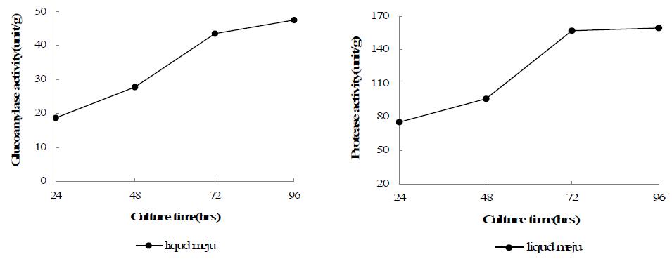 Enzyme activity of liquid Meju culture(1,200L)