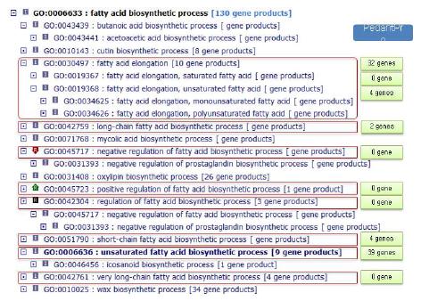 Fatty acid biosynthesis process : GO.