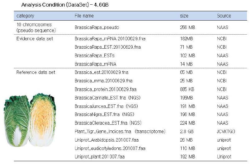 자체 배추 유전체 해독으로 생산한 유전체 서열 및 수집 유전자 데이터