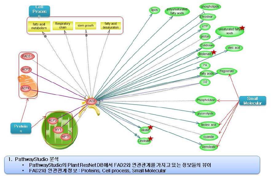 FAD2 유전자와 상호작용하는 대사 물질 및 유전자