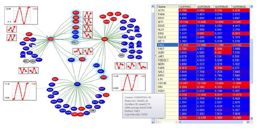 FAD2, FAD3 및 FAE1 유전자 네트워크 및 발현패턴 데이터와 연관