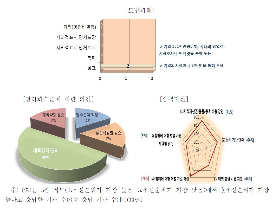 지식재산보호에 관한 권리화 수준에 대한 의견, 정책지원 및 모방피해