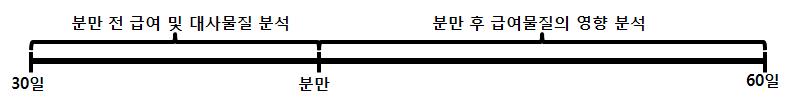 분만예정우 급여 프로그램