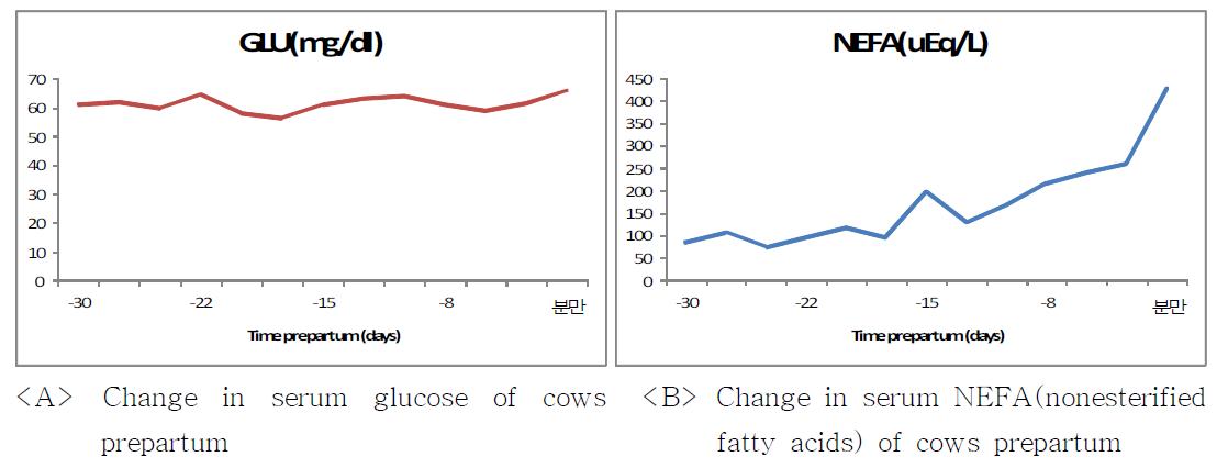 분만전 급여군의 혈청내 glucose, NEFA 변화양상