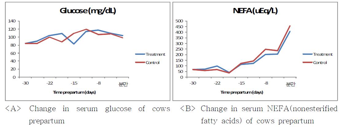 분만전 블록 급여군의 혈청내 glucose, NEFA 변화양상