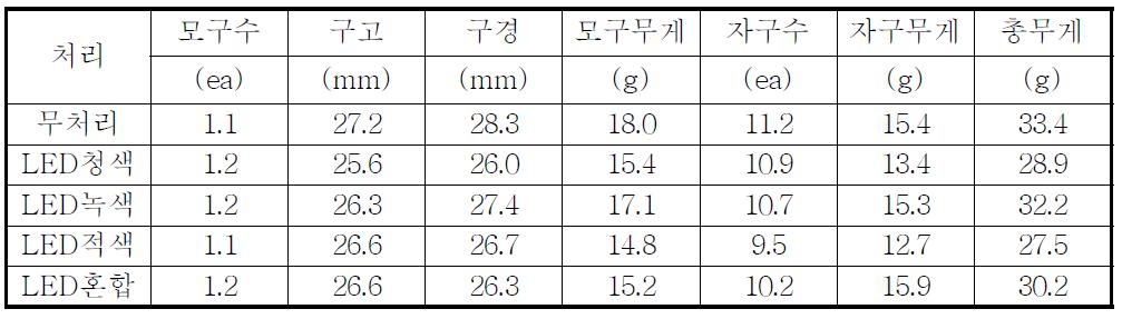 샤이니골드 품종의 LED 파장에 따른 구근 특성