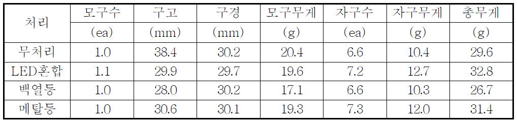 이본느 품종의 광원에 따른 구근 특성