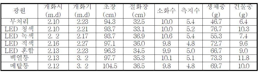 샤이니골드 품종의 광원에 따른 개화특성