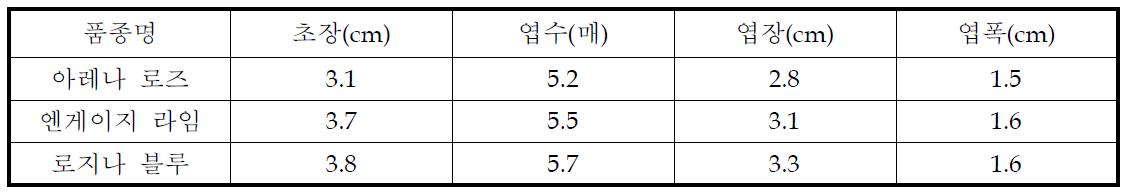 정식전 묘소질(7월 정식)