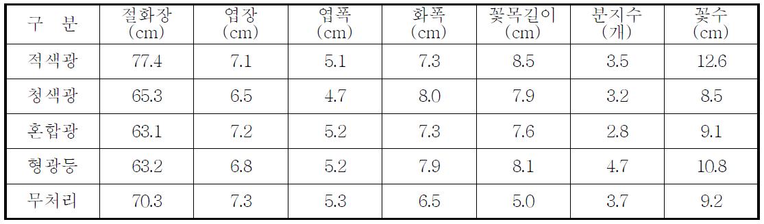 개화기 생육조사(6월 정식, 아레나 로즈)