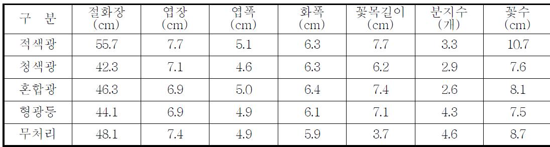 개화기 생육조사(6월 정식, 로지나 블루)