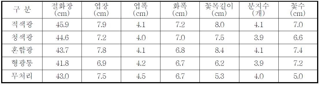 개화기 생육조사(7월 정식, 엔게이지 라임)