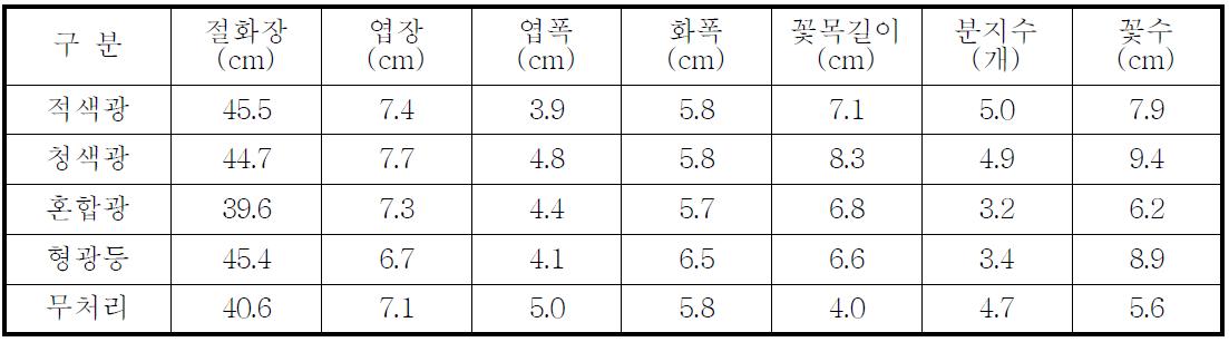 개화기 생육조사(7월 정식, 로지나 블루)