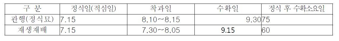 정식묘 및 재생주 수확시기(착과 후 45일경)