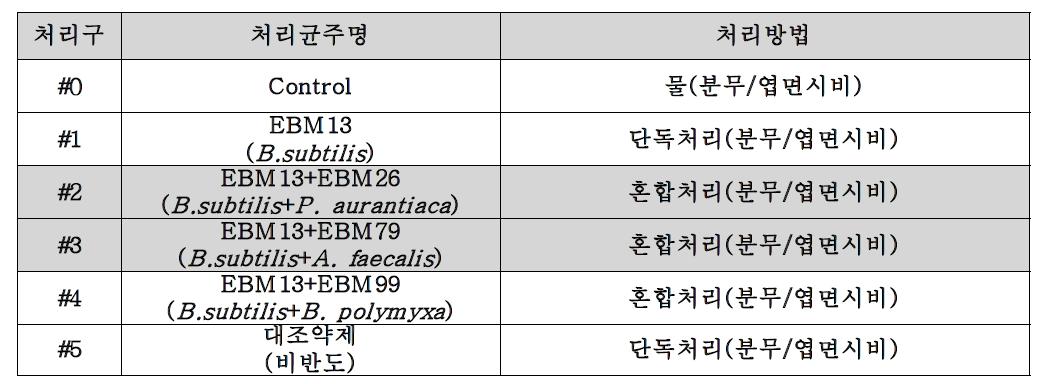 시험군별 처리균주명과 방제방법