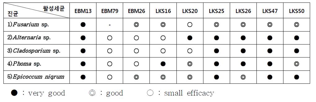 항진균활성 세균들의 항균스펙트럼 및 활성 강도