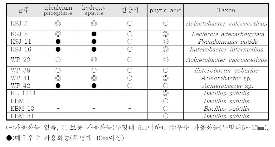 불용성 인산염 가용화 스펙트럼 및 균주 분류군