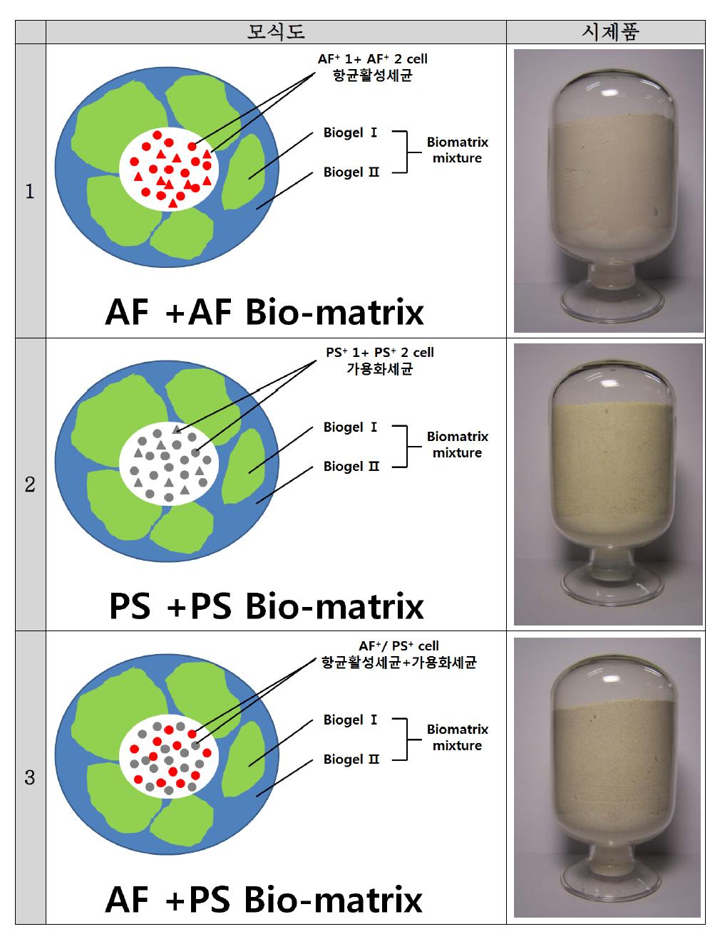 3가지의 Bio-matrix체계 모식도 및 시제품(본 연구에서 도출된 성과임)