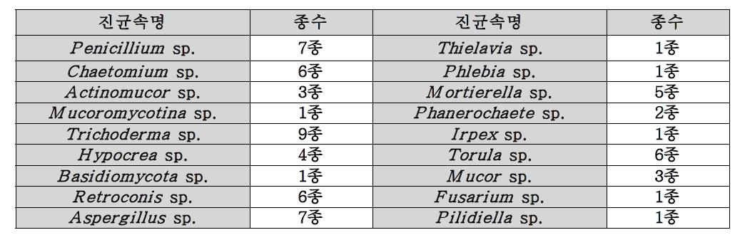 진균 종류 및 종수(총65종)