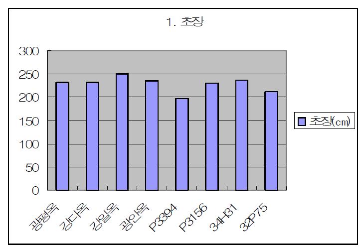 옥수수 품종별 초장