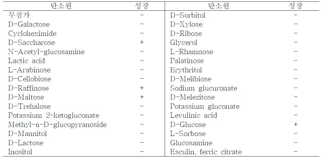 Saccharomyces cerevisiae YB-104의 탄소원 이용성