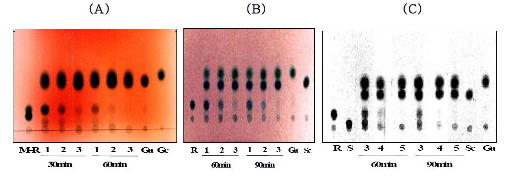 α-Galactosidase 처리양과 반응시간에 따른 melibiose (A ), raffinose (B)와 stachyose (C)의 가수분해산물