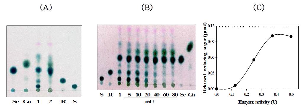 B . licheniformis α-galactosidase에 의한 대두분에 존재하는 raffinose와 stachyose의 가수분해.