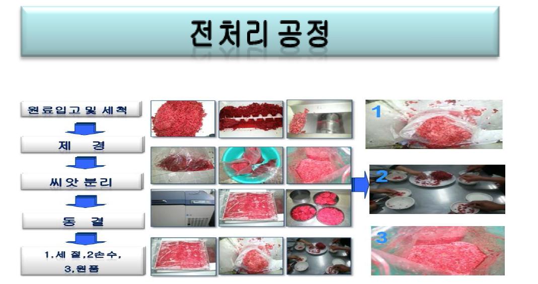 전처리 후 공정