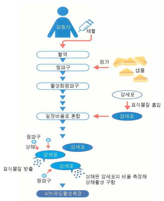 Scheme of autologous tumor-killing activity(ATK)