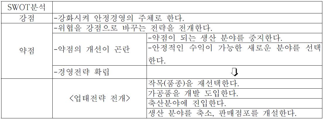 SWOT 분석표