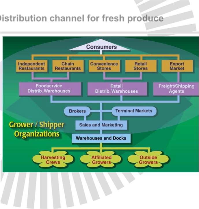 Distribution channel for fresh produce