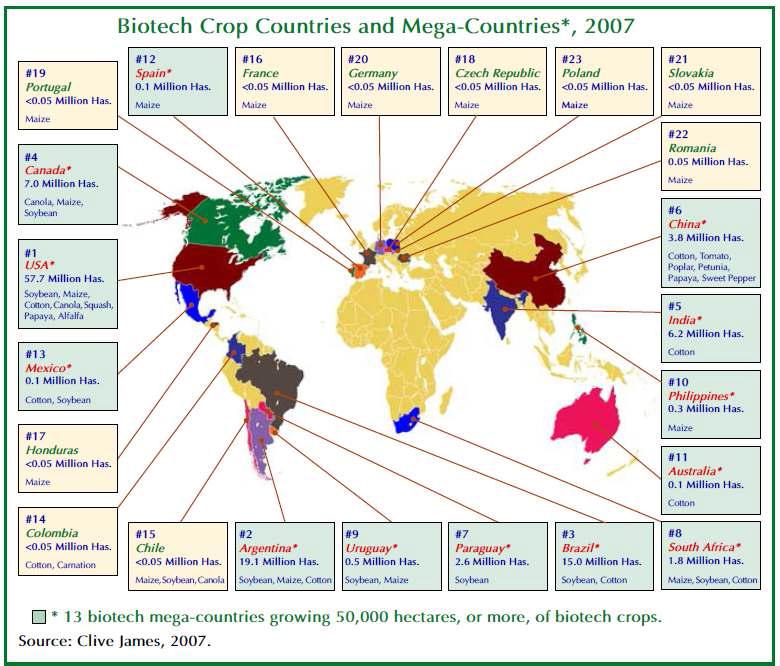 생명공학작물 채택 주요 국가와 재배작물