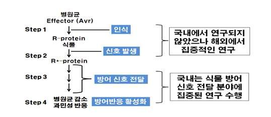 식물면역반응의 단계와 국내외 연구 현황