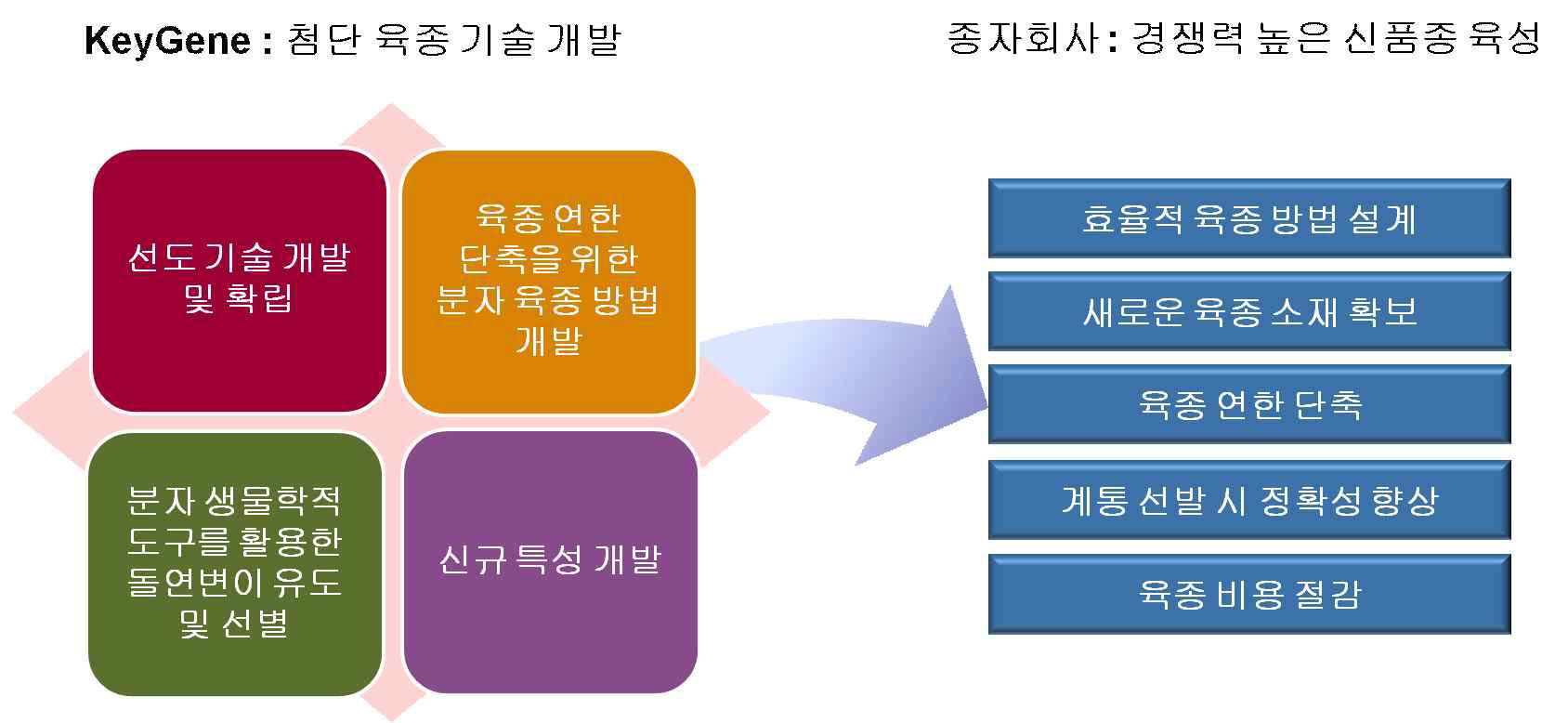 경쟁력 높은 신품종 육성을 위한 KeyGene의 역할