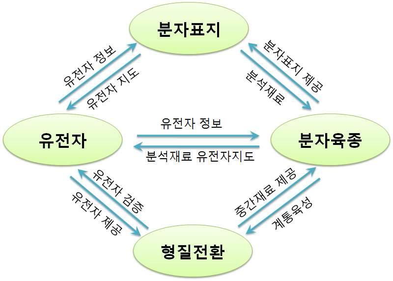 대과제간 기술협력 체계도