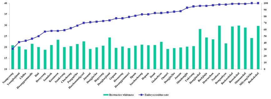 각 품종별 현미백도와 쌀눈잔존율 비교