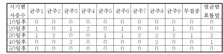 곤충 병원성 균에 의한 살충력 검정(2)