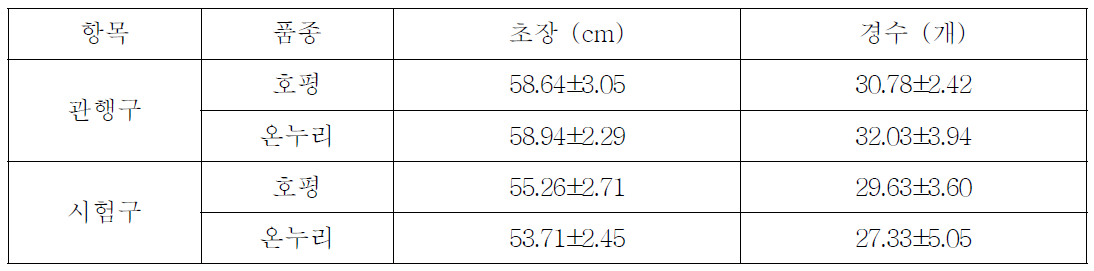 벼 초기 일반생육 조사 (2011.07.26)