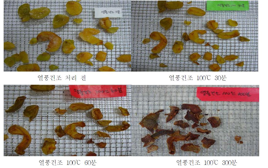 열풍건조시 시간에 따른 생매실 건조상태