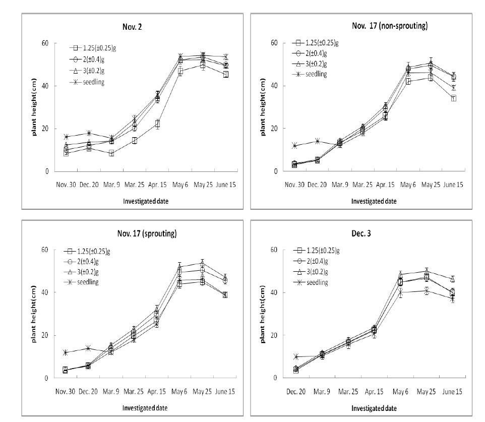 Seasonal changes of plant height as influenced by different planting time and set size. The vertical bars indicate the standard erros of the mean values.